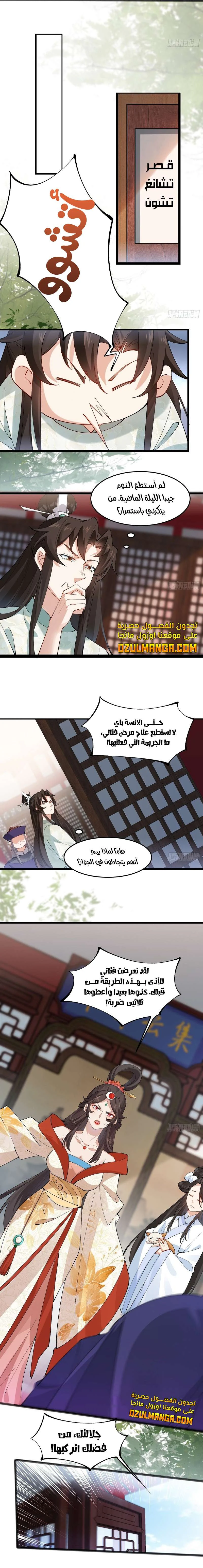 Chapter Image 7