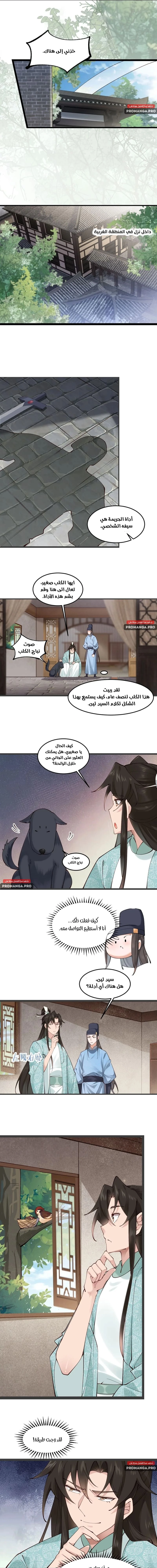 Chapter Image 5