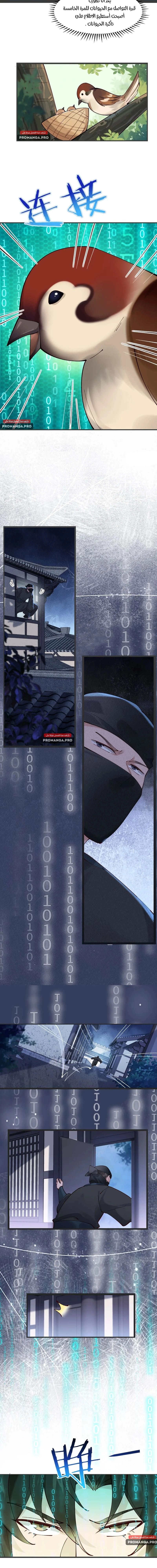 Chapter Image 6