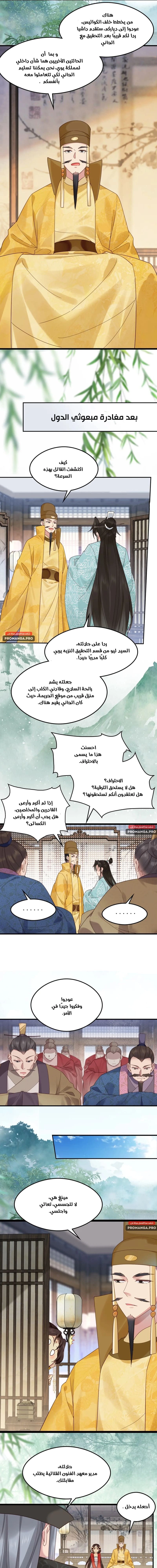 Chapter Image 5