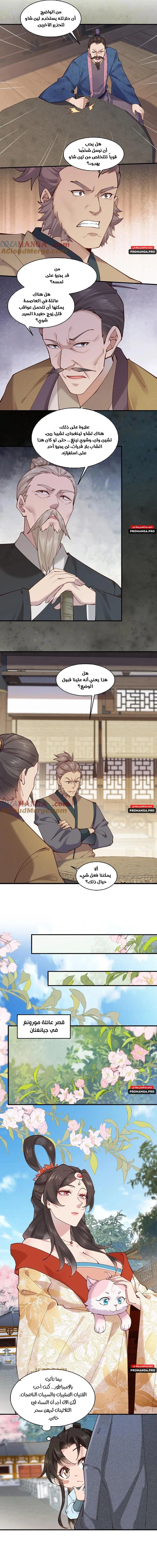 Chapter Image 3