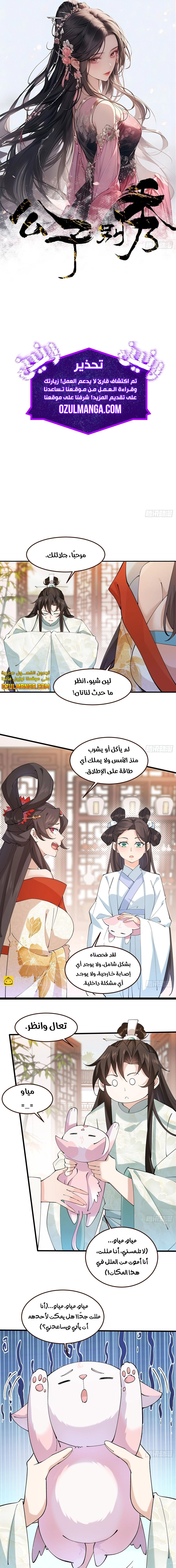 Chapter Image 2
