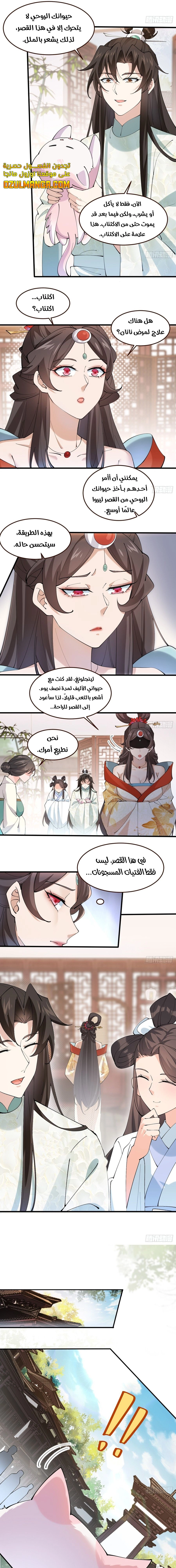Chapter Image 4