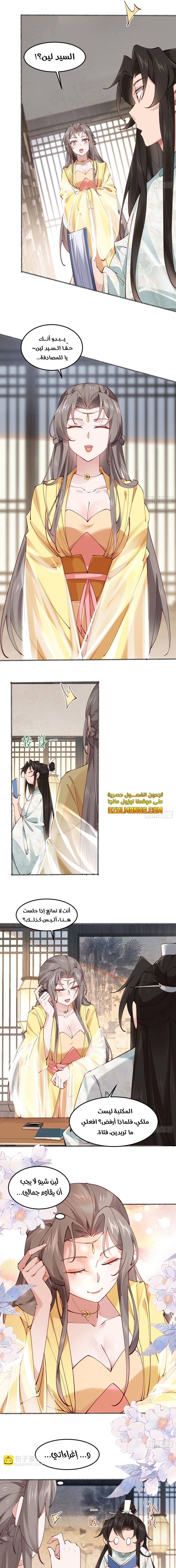 Chapter Image 7