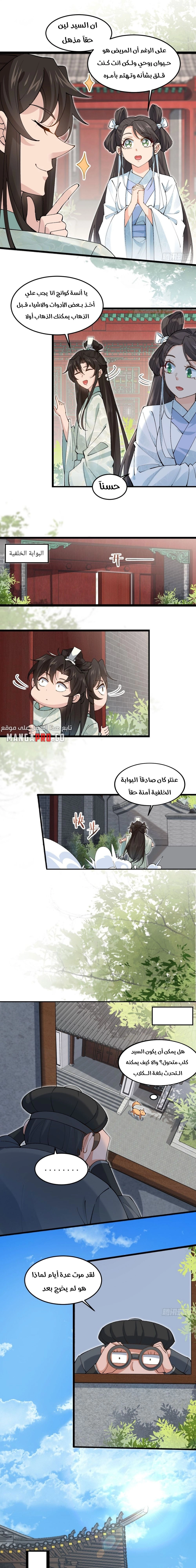 Chapter Image 5