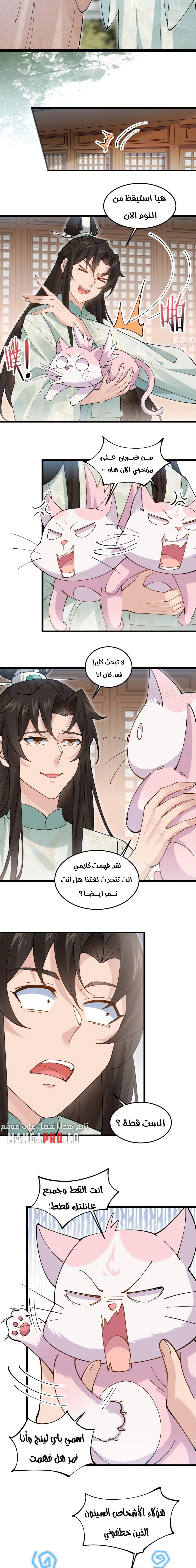 Chapter Image 9