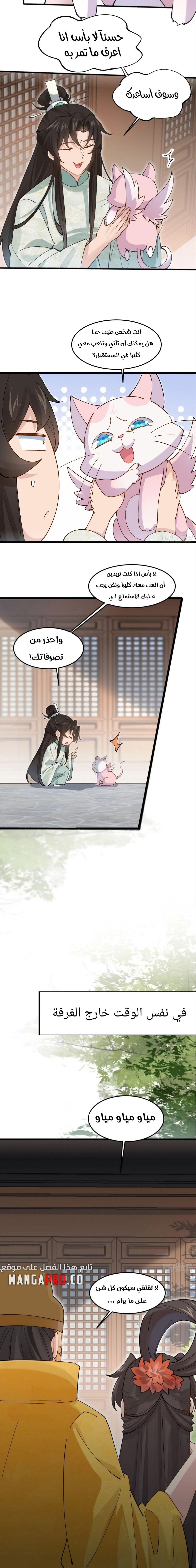 Chapter Image 13