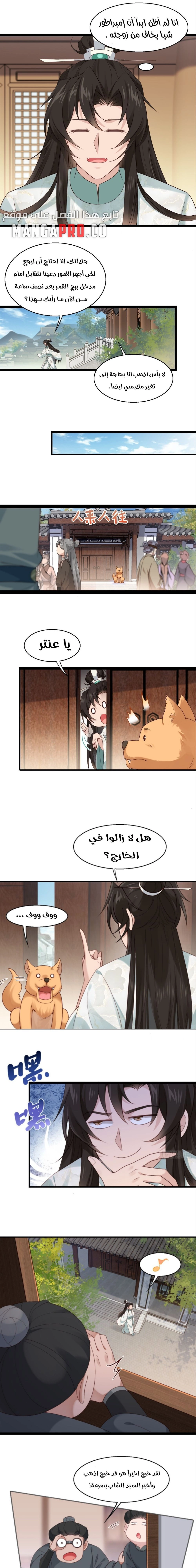 Chapter Image 4