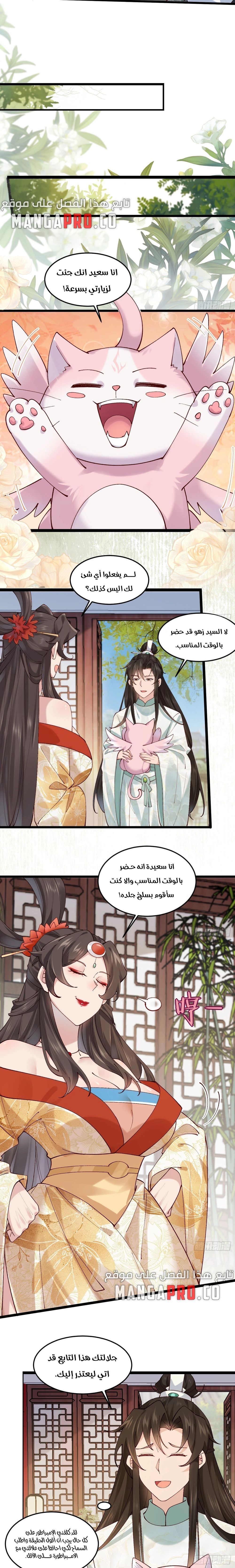 Chapter Image 4