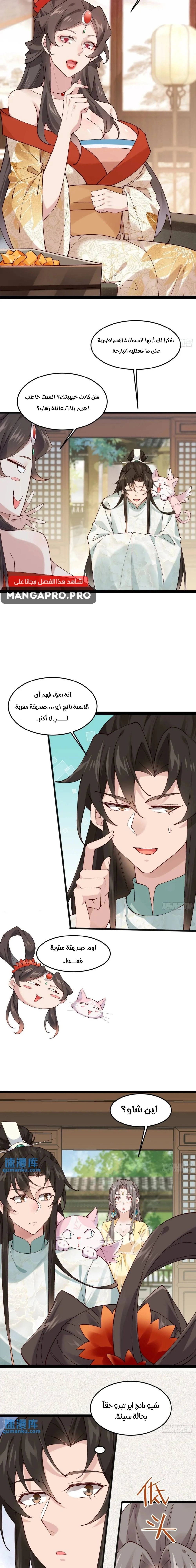 Chapter Image 9