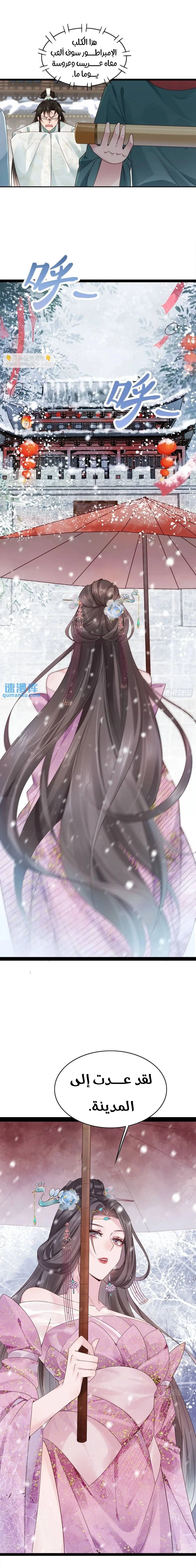 Chapter Image 13