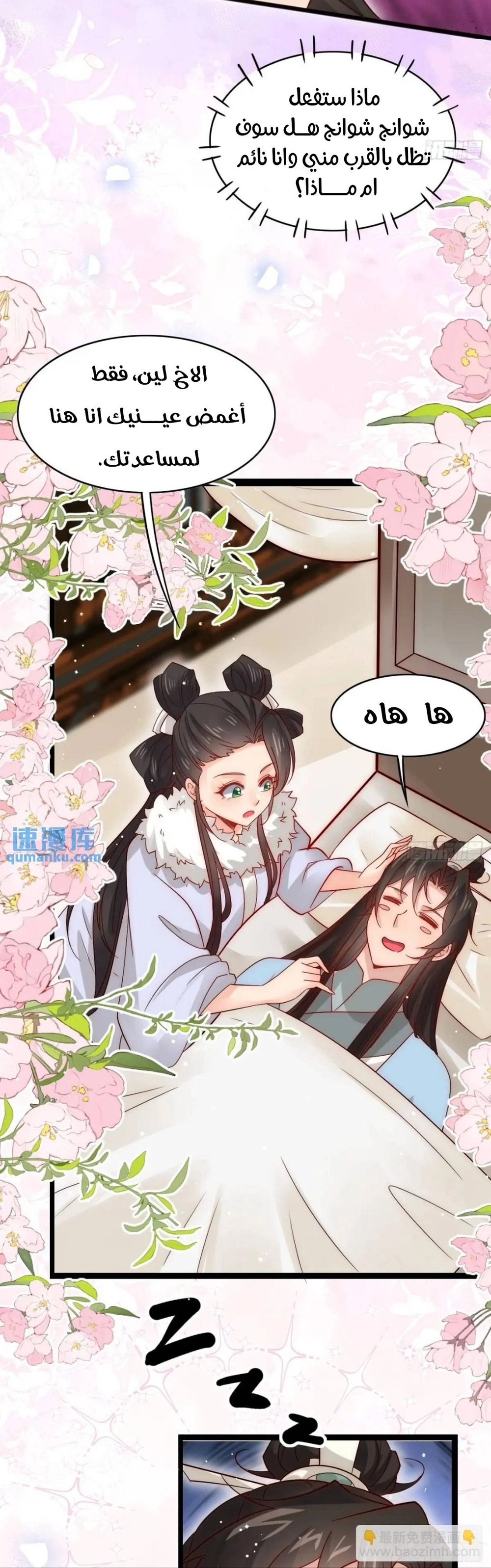 Chapter Image 4
