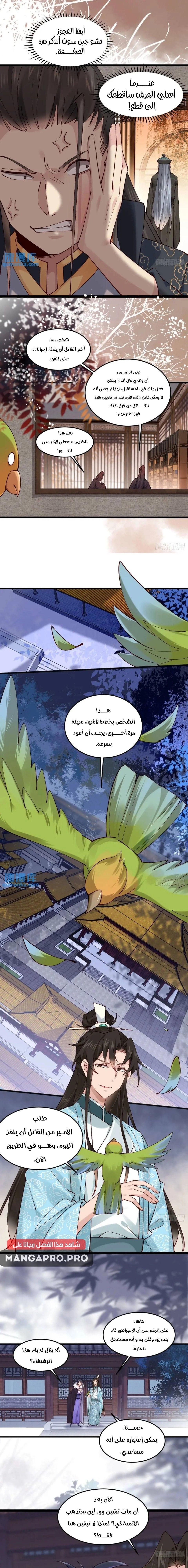 Chapter Image 7