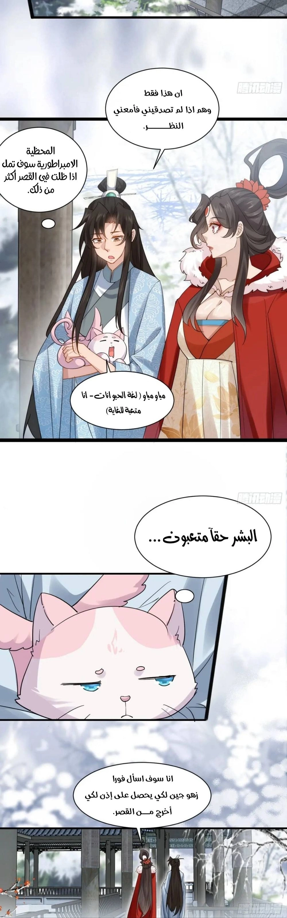 Chapter Image 4