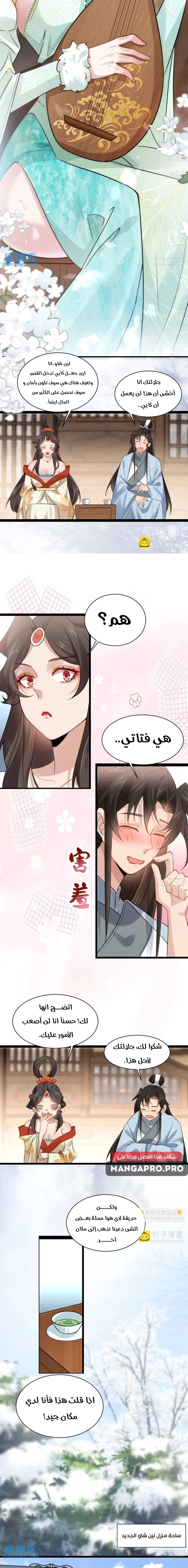 Chapter Image 7