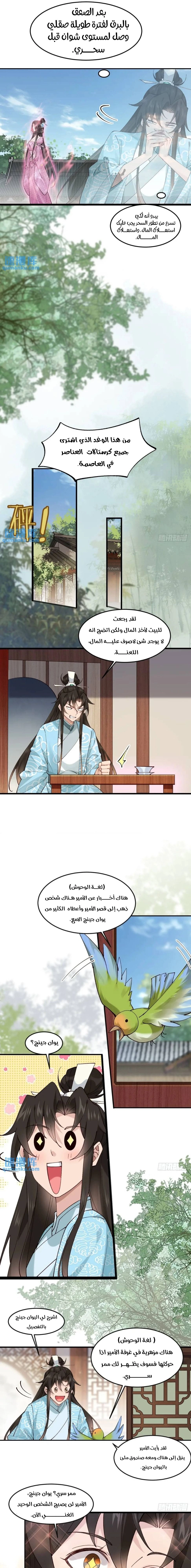 Chapter Image 7