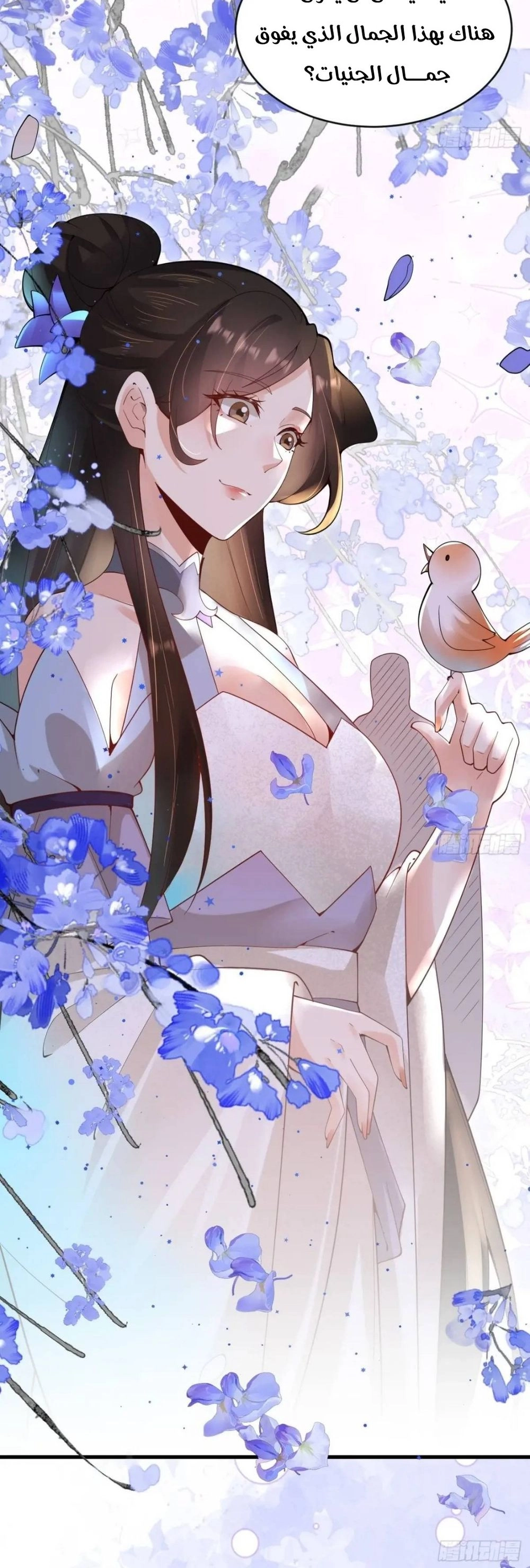 Chapter Image 2