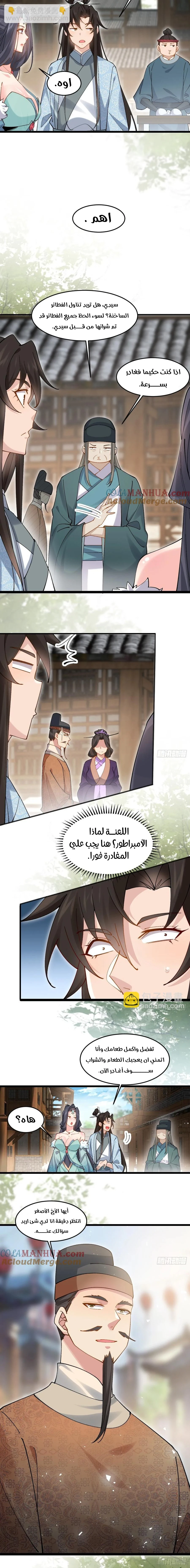Chapter Image 11