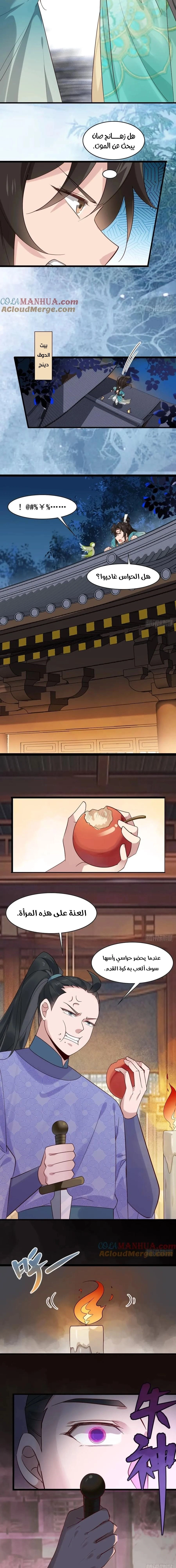 Chapter Image 3